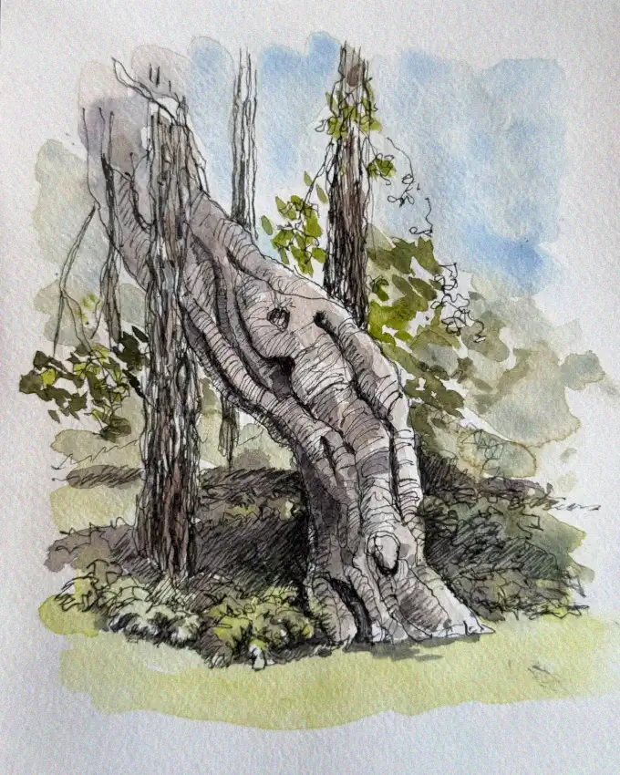 20+ Unique Nature Sketch Ideas to Ignite Your Creativity