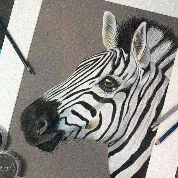 25+ Inspiring Examples of Realistic Zebra Drawings You Must See