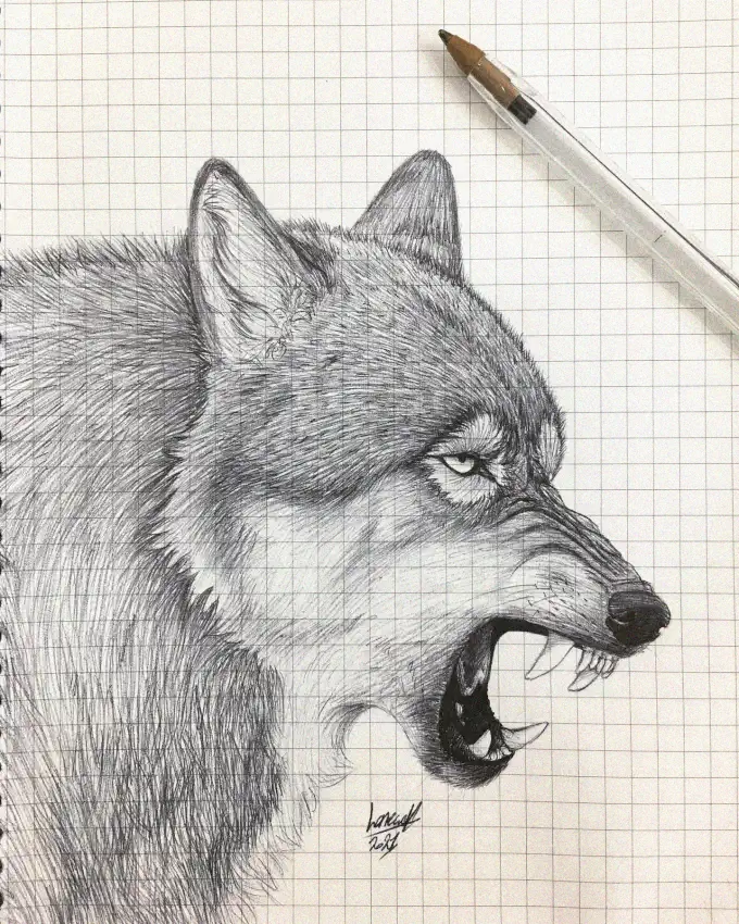 25+ Spellbinding Wolf Pencil Drawings to Ignite Your Artistic Spirit