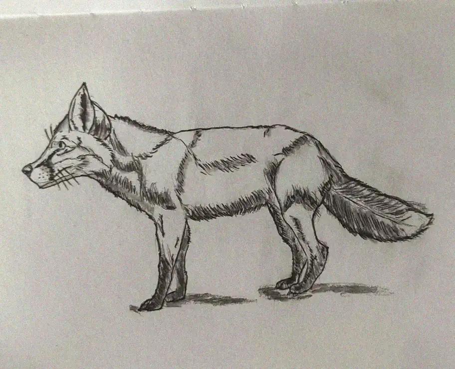 15+ Inspirational Ideas for Easy Fox Drawings to Ignite Your Creativity