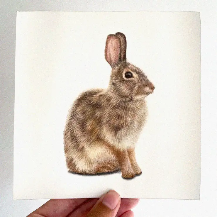 Bunny in Hand: A Realistic Rendering