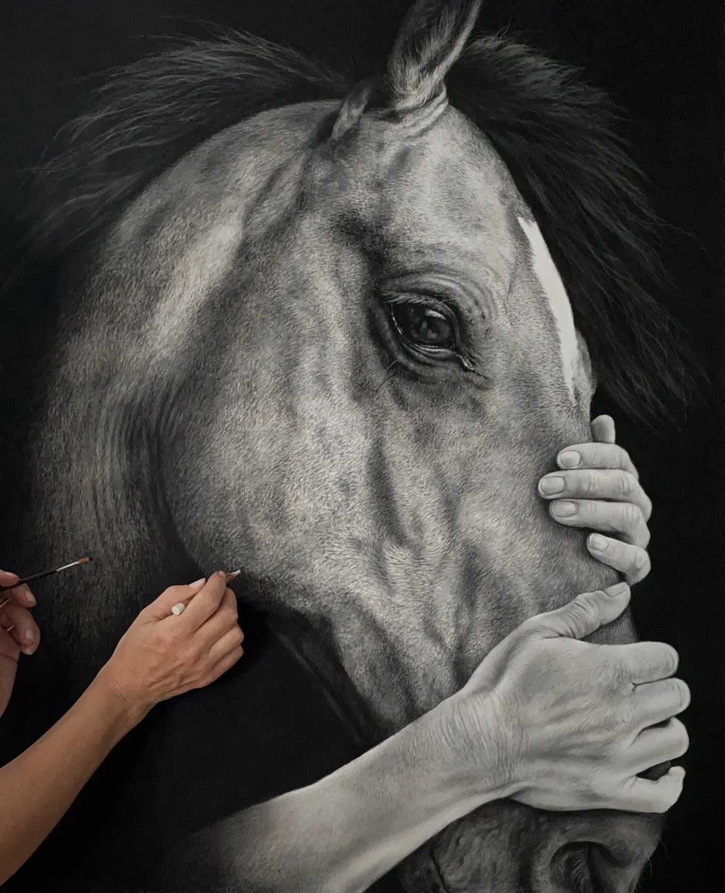 Crafting Equine Beauty in Monochrome