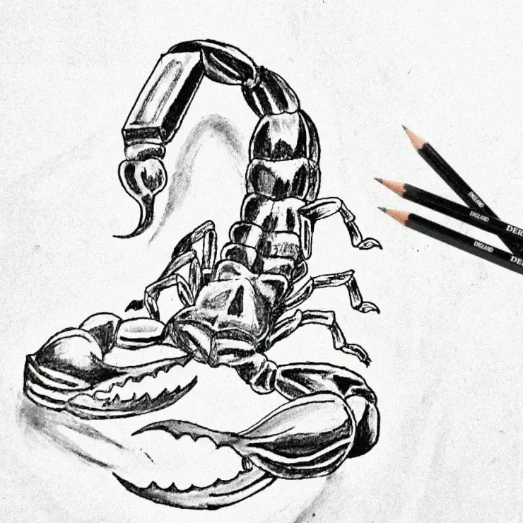 Scorpion Sketch Amid Creative Chaos