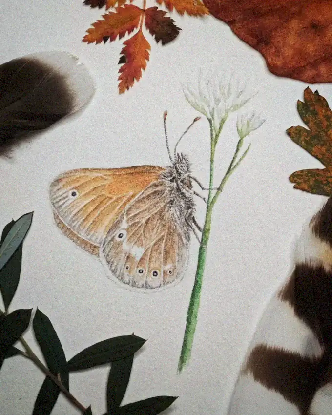 Butterfly Among Autumn Leaves and Feathers