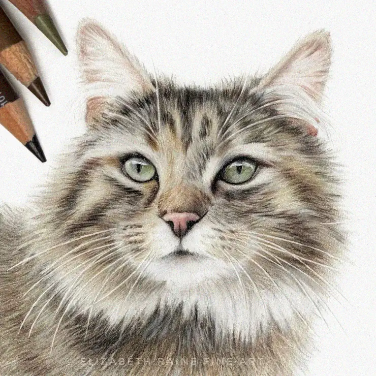 Vivid Feline Portrait in Colored Pencil