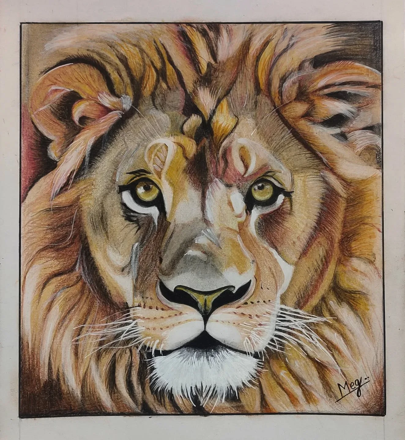 Majestic Lion's Stare in Vibrant Detail