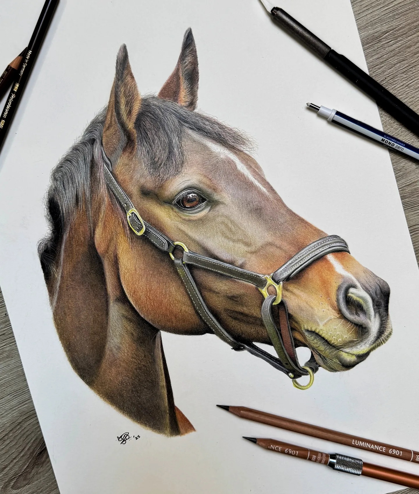 Horse Portrait Amidst an Artist's Tools
