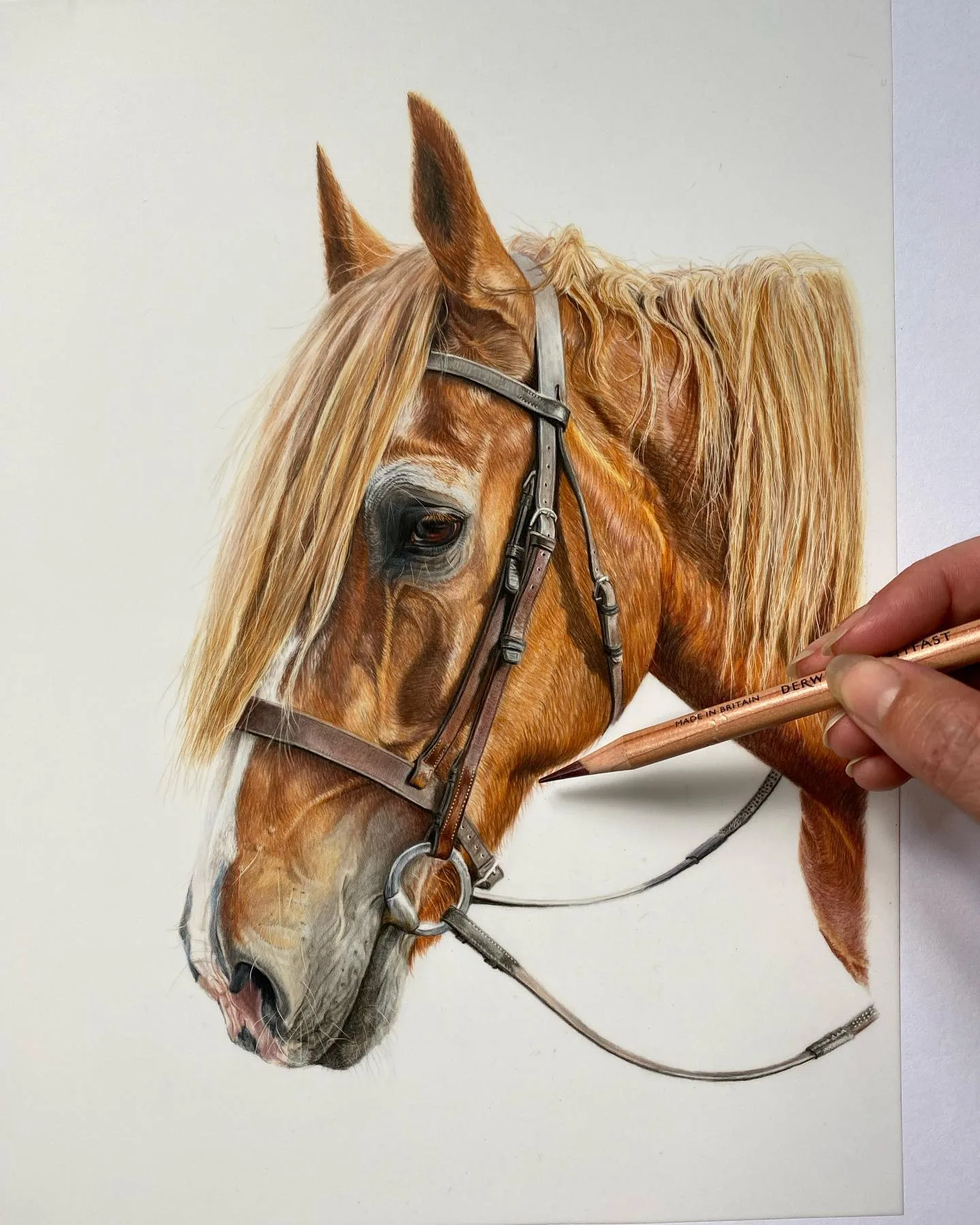 Bridled Horsehead Brought to Life