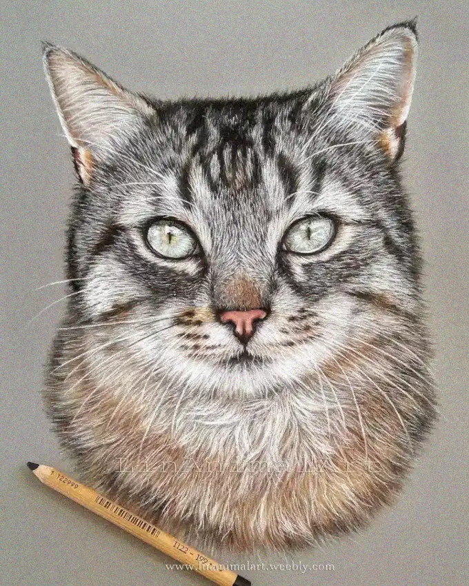 Tabby Mastery: A Study in Graphite Realism