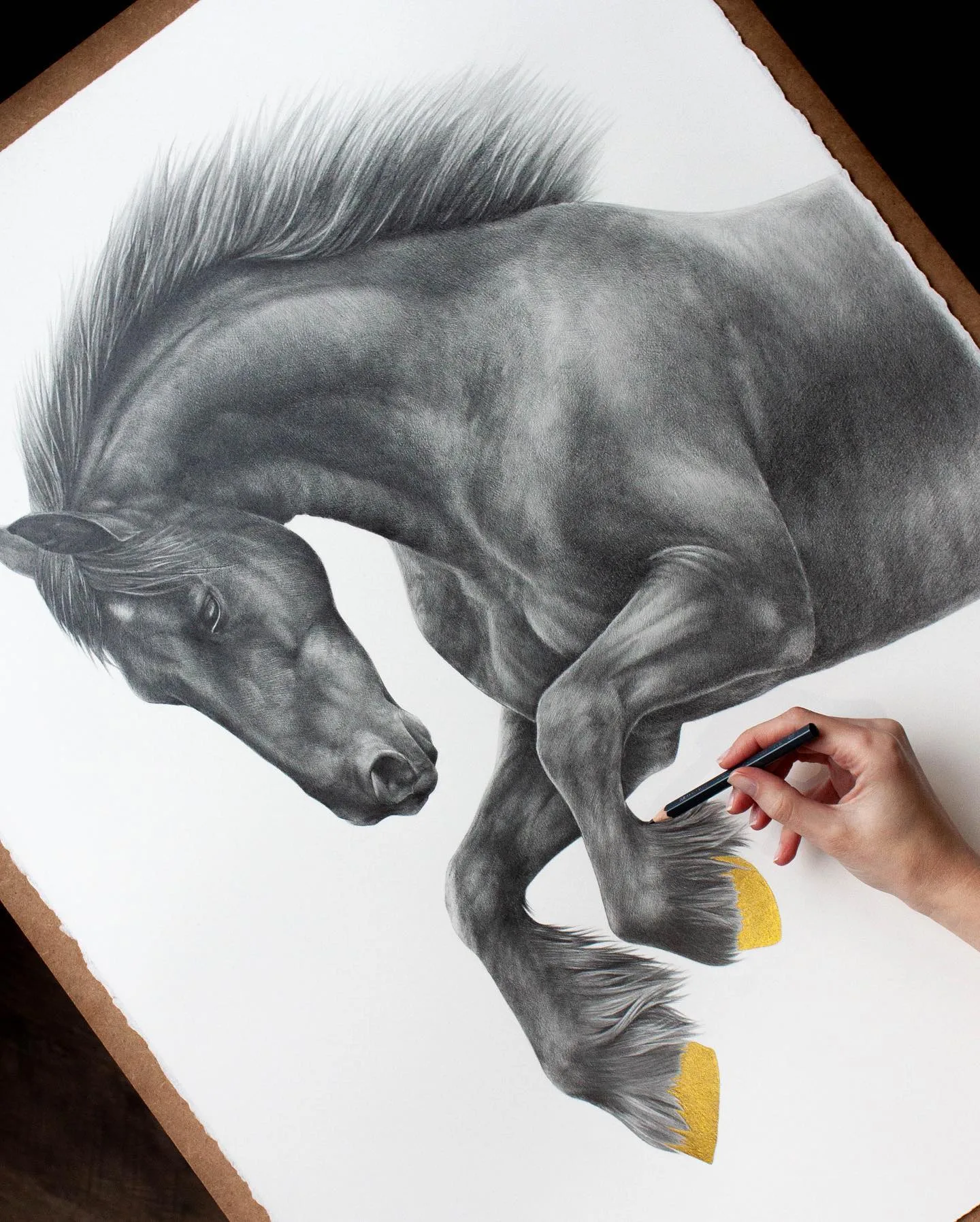 Elegance in Horse Portraiture