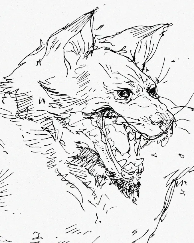 Snarling Wolf: A Gritty Ink Sketch
