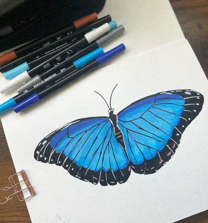 Butterfly Sketch Amidst Acrylic Hues