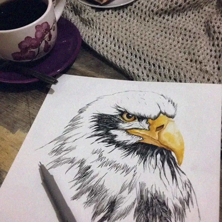 Eagle and Coffee Interlude