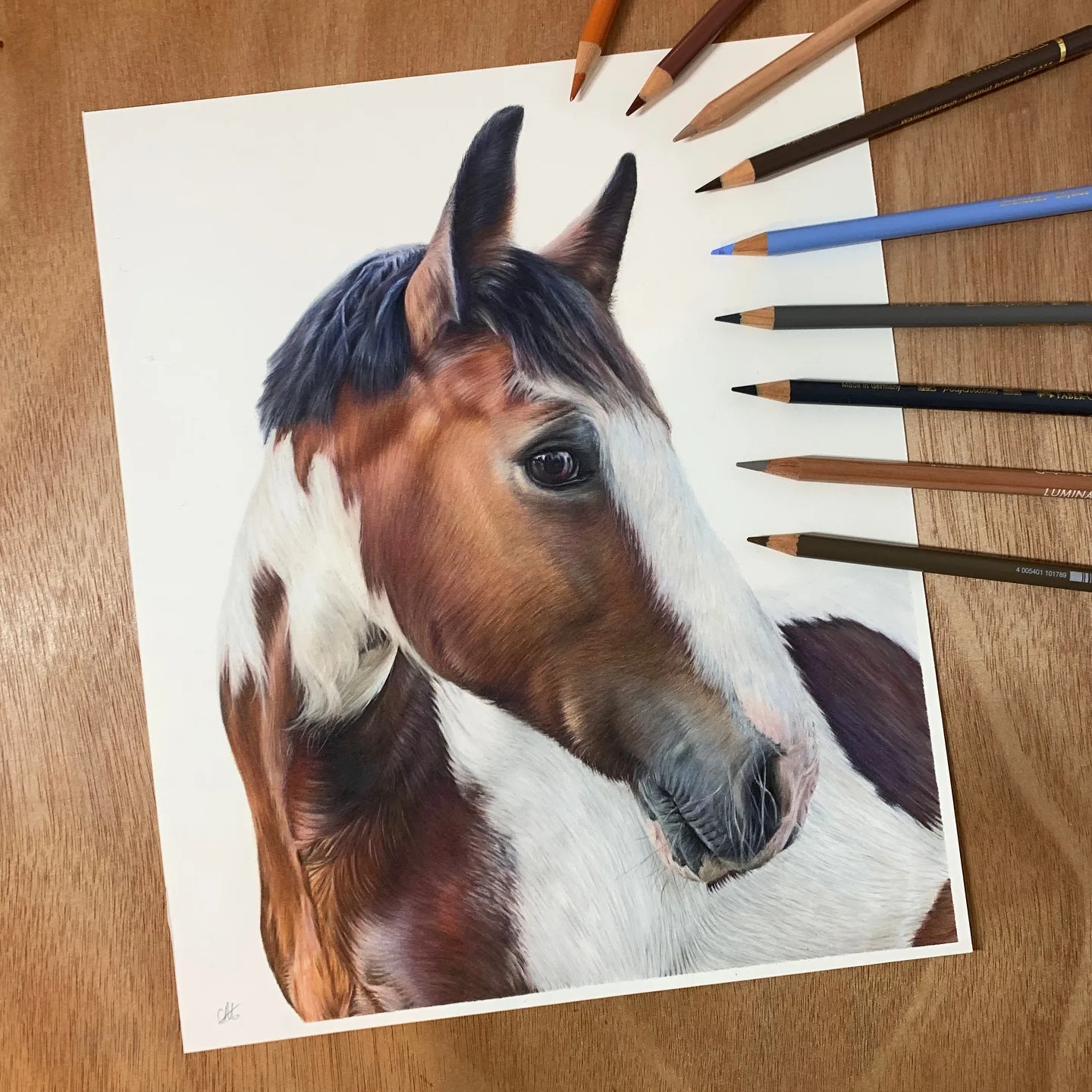Horse Portrait in Colored Pencil Harmony