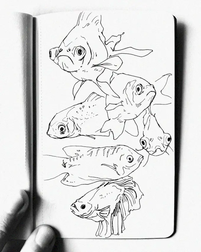 Sketchbook Tales: Underwater Wonders in Ink