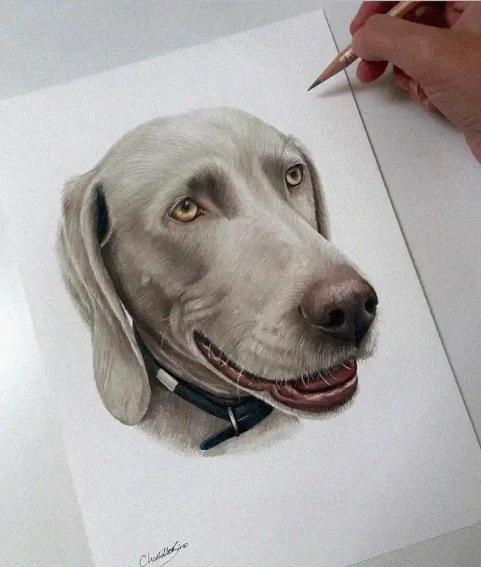 Mastering the Art of Canine Realism