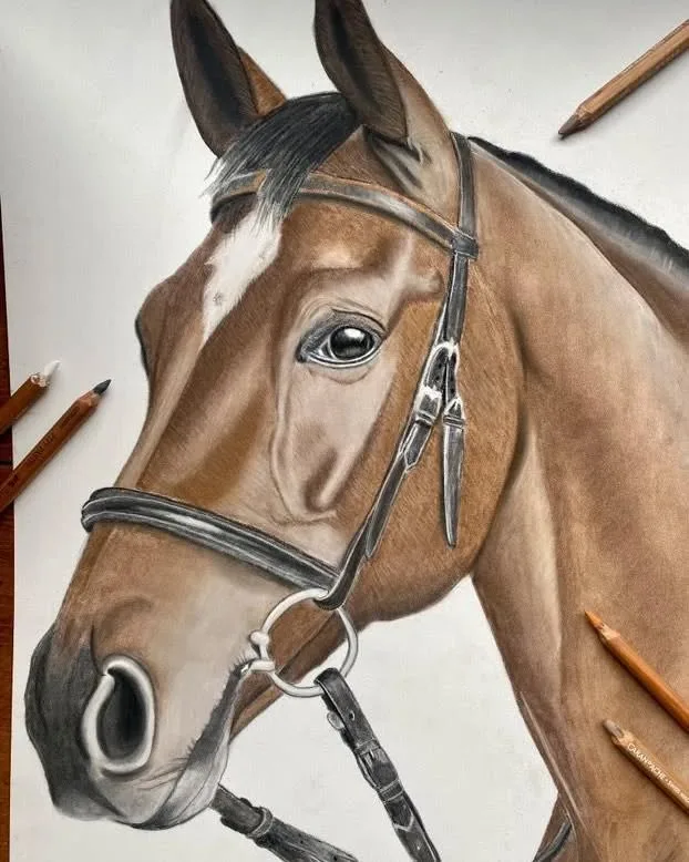 Sketching Equine Beauty in Details