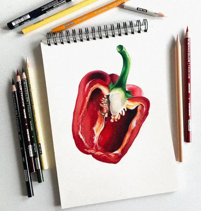 Red Pepper Study in Colorful Detail