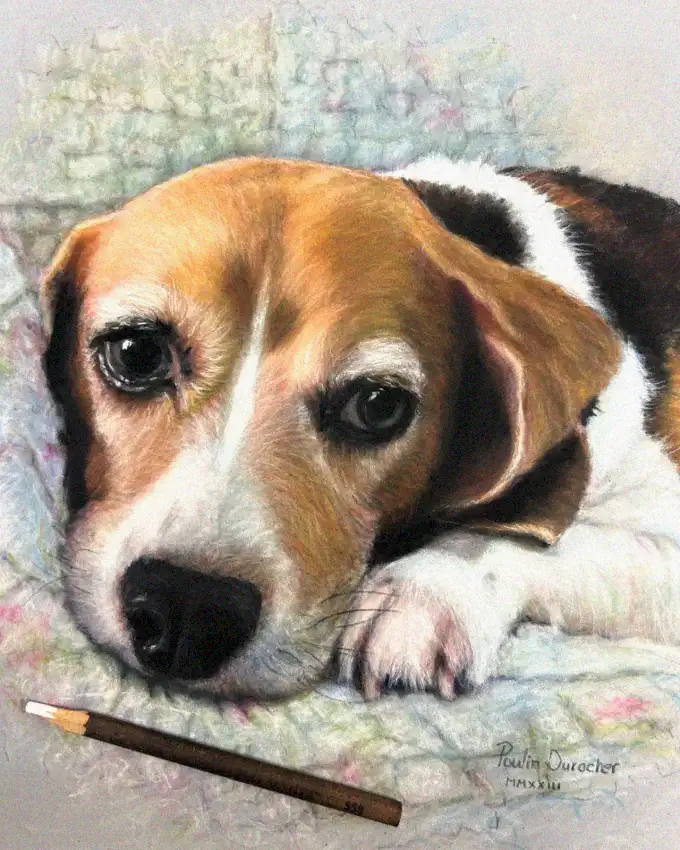 Beagle's Serene Rest in Colorful Sketch