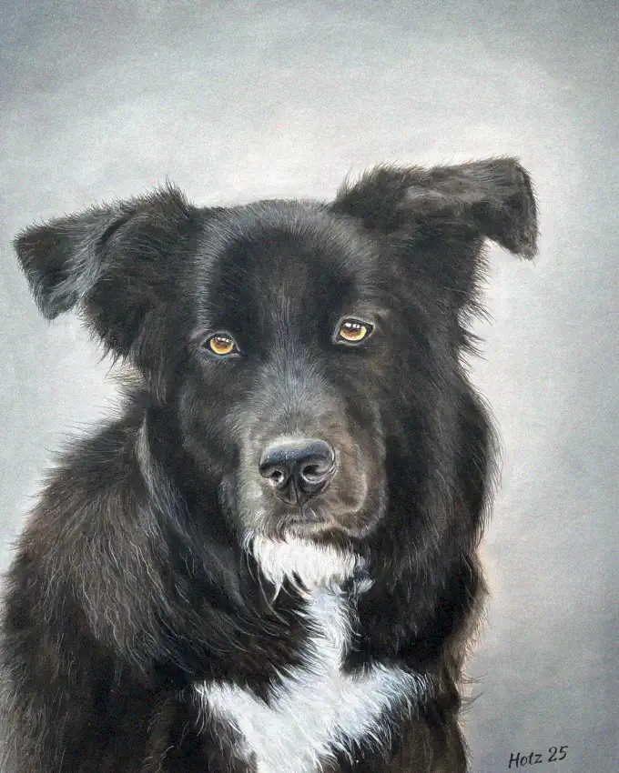 Gaze of the Ebony Canine