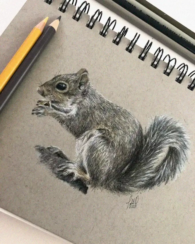 Squirrel Sketch: A Penciled Notepad Portrait