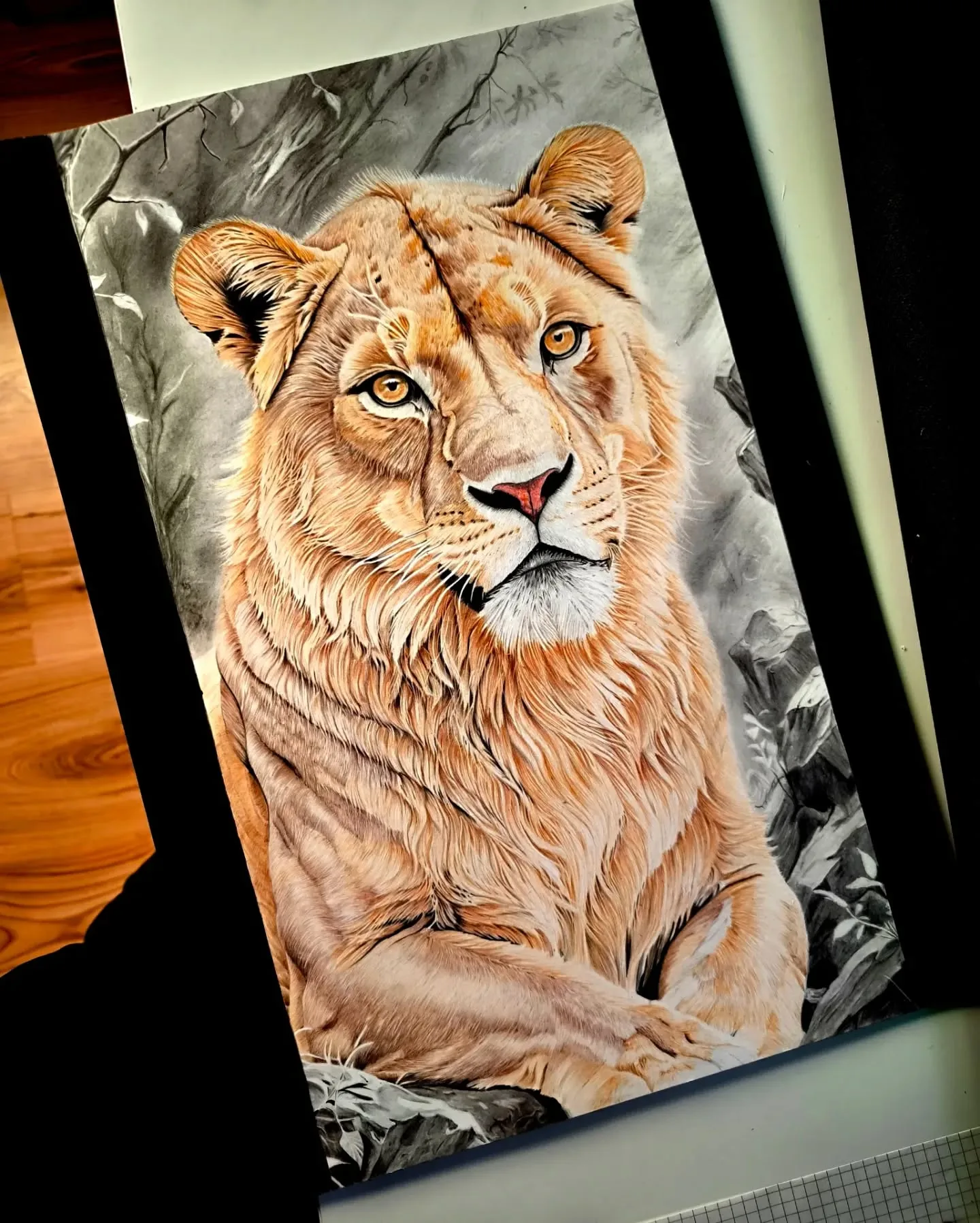 Lion Repose in Textured Solitude