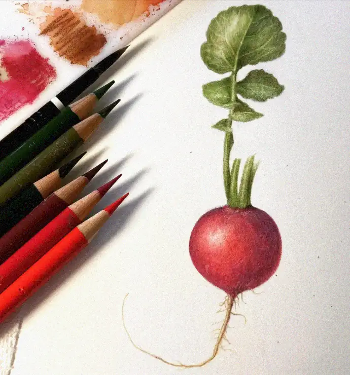 Strokes of Radish and Rainbow Pigments