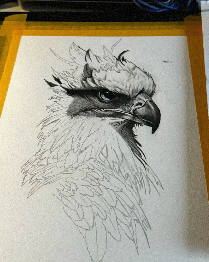 Eagle's Gaze: A Pencil Study