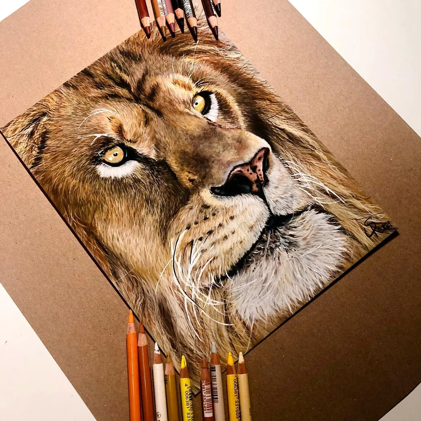 Lion Illustration Amidst Scatterings of Pencils