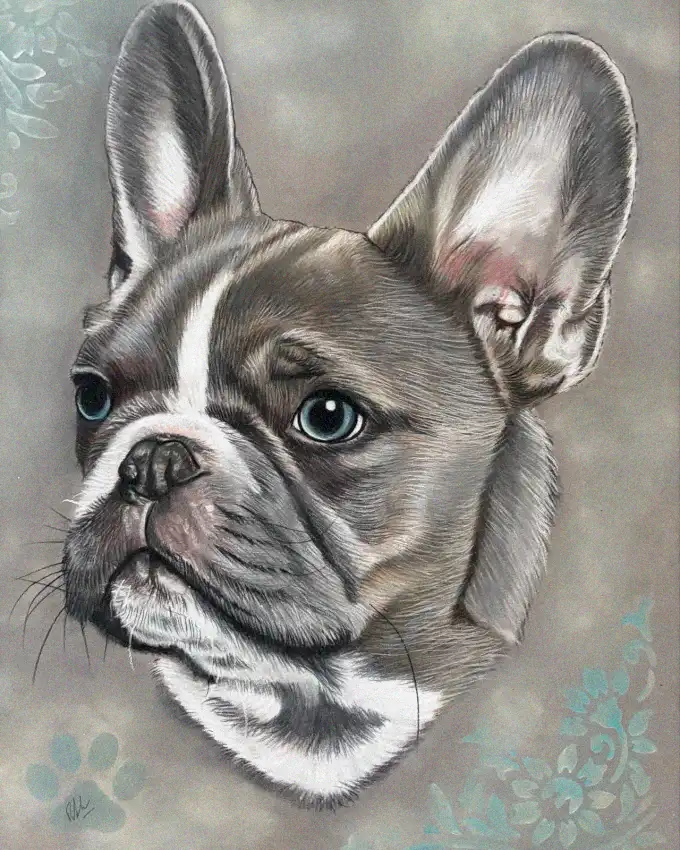 Thoughtful French Bulldog in Artistic Detail