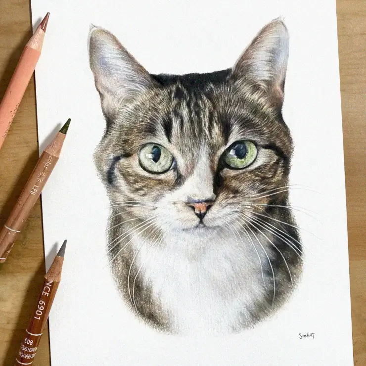 Tabby Cat Portrait in Vibrant Hues