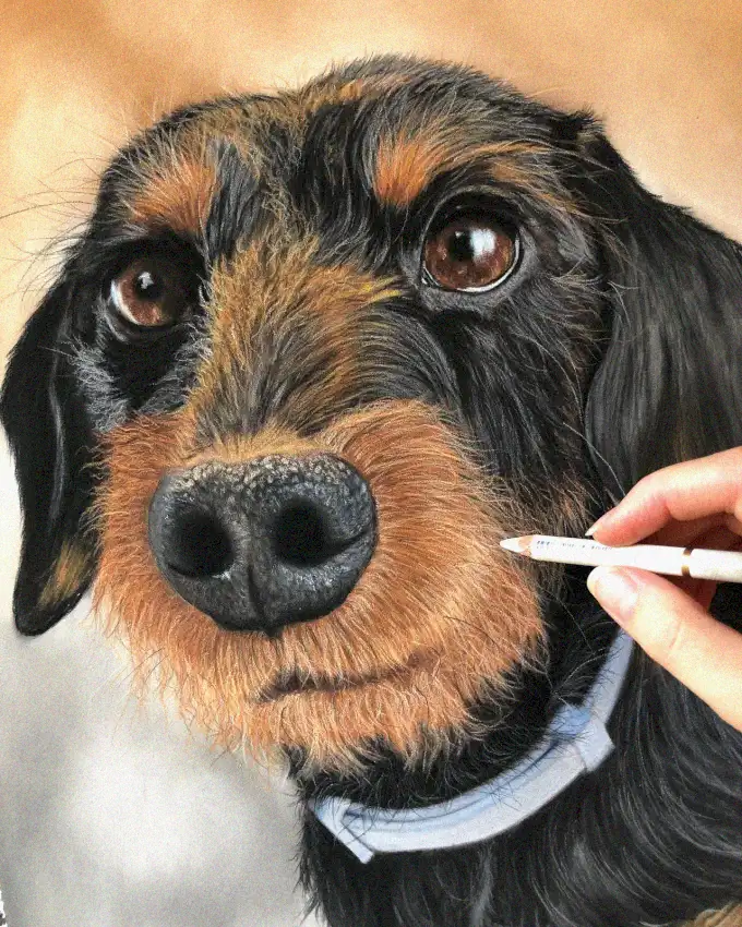 Detailed Craftsmanship in Canine Portraiture