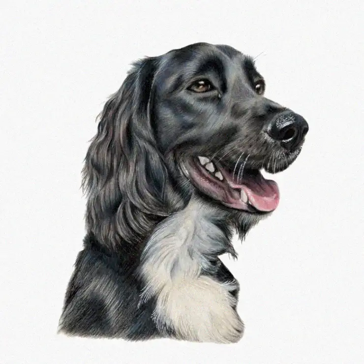 Canine Charisma in Monochrome