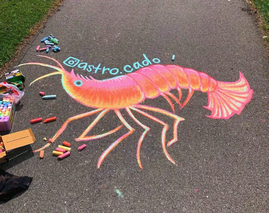 Chalk Shrimp Amidst Colorful Havoc