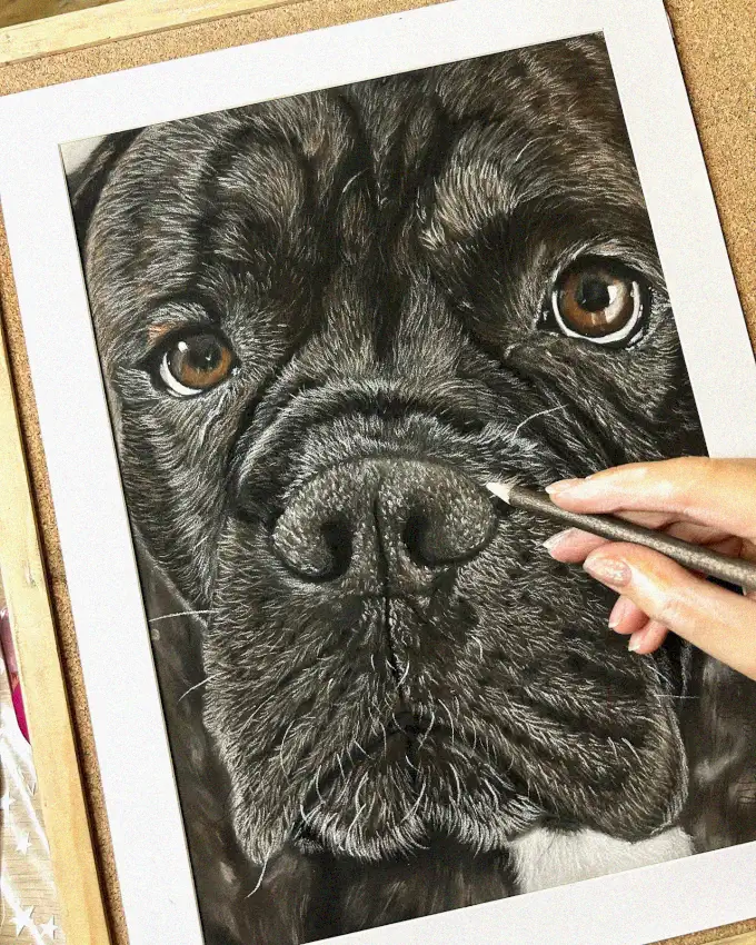 Subtle Strokes of Canine Portraiture