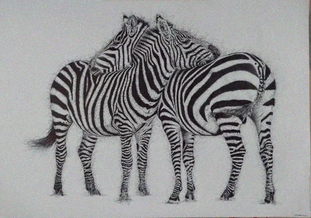 Monochromatic Harmony of Zebras