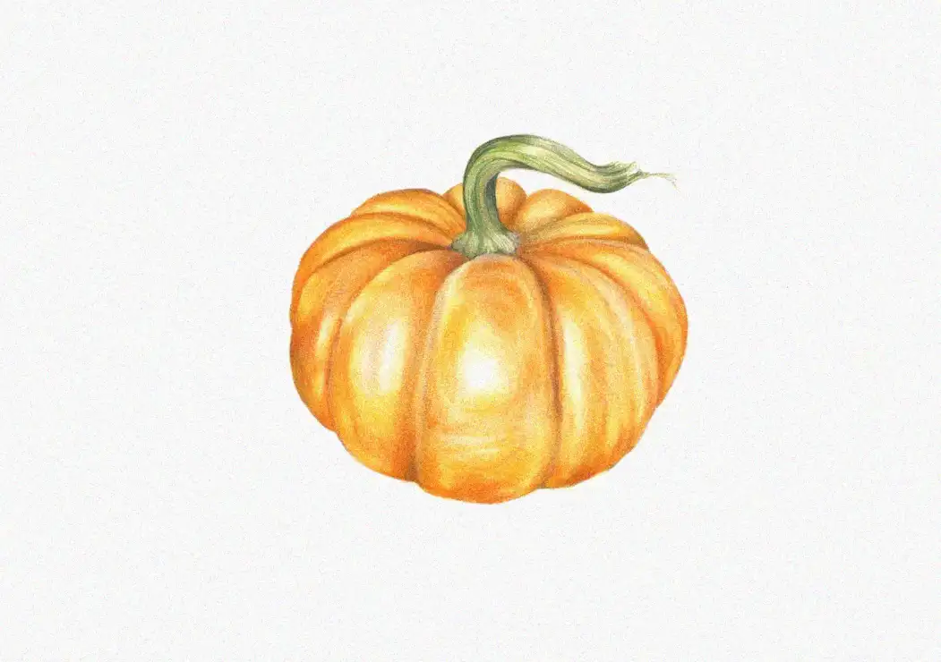 Enchanting Sketch of a Ripe Pumpkin