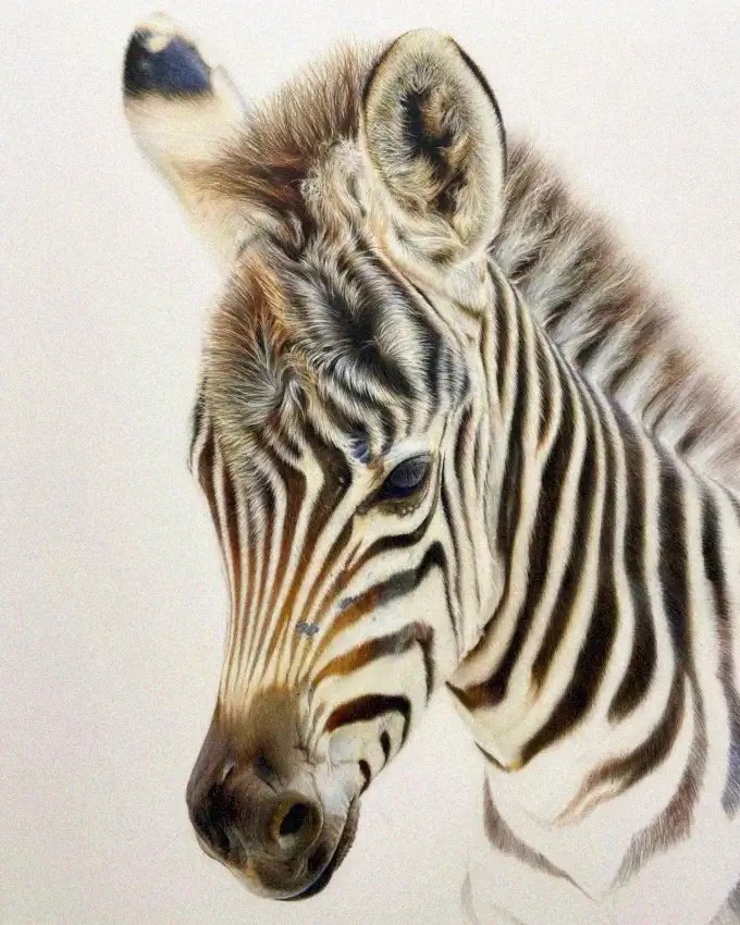 Expressive Zebra - A Vivid Artistic Portrait