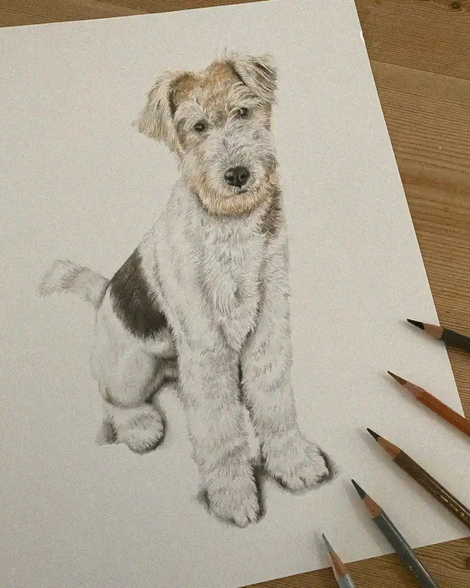 Sketching Fidelity: A Wire-Haired Dog's Portrait