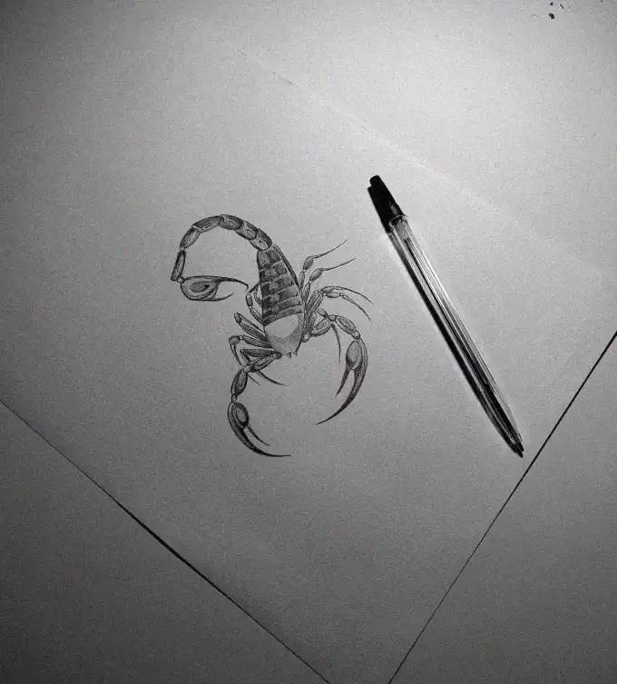 Scorpion Sketch with Lingering Pen