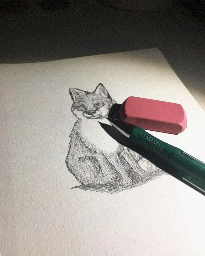 Under Illumination: Cat Sketch in Progress