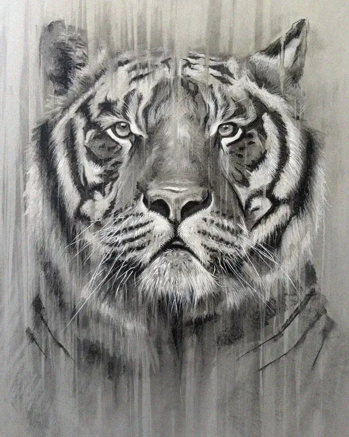 Intensity in Grayscale: The Tiger's Gaze