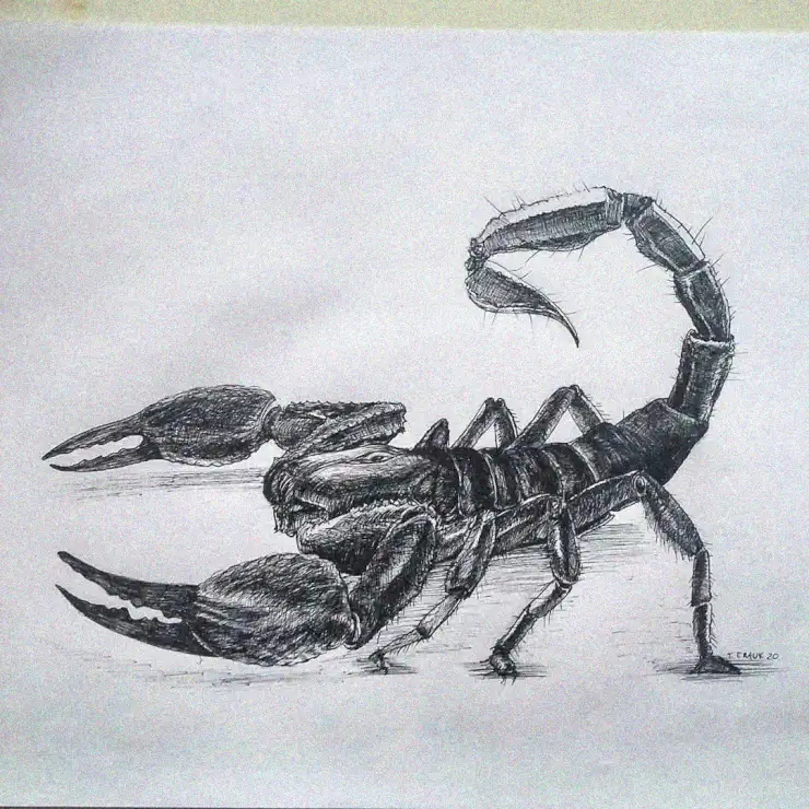 Scorpion's Poised Strike in Graphite