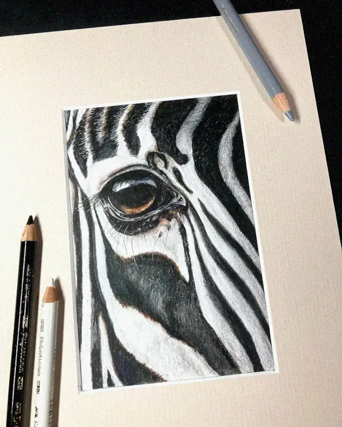 Pencil Drawn Zebra's Eye Masterpiece