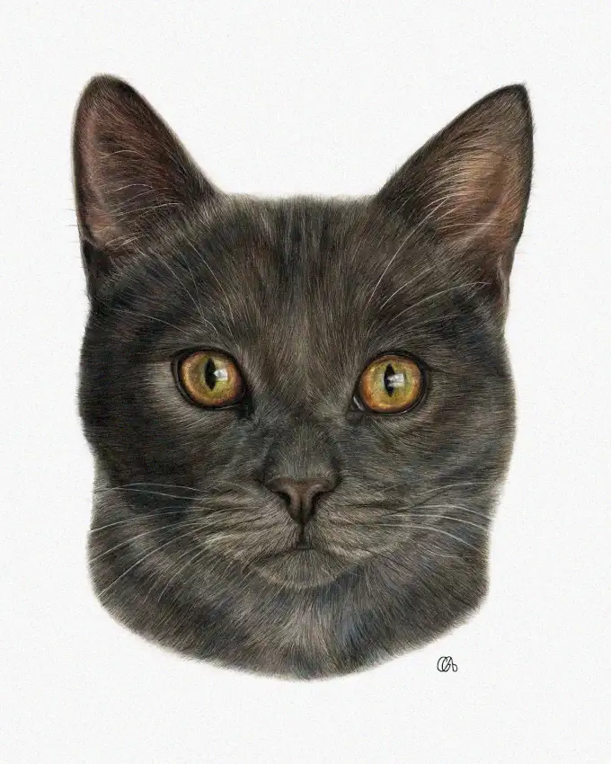 Amber Gaze: A Feline Masterpiece