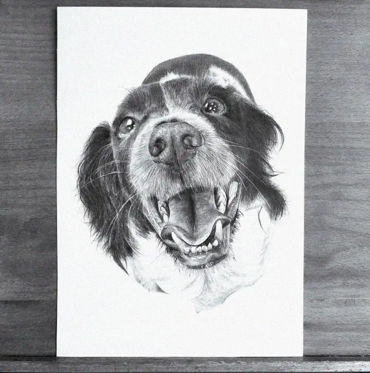 Joyful Canine Captured in Pencil Art
