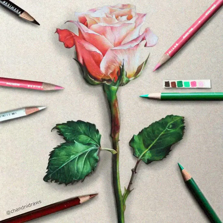 Crafting Beauty: The Artistic Rose Process