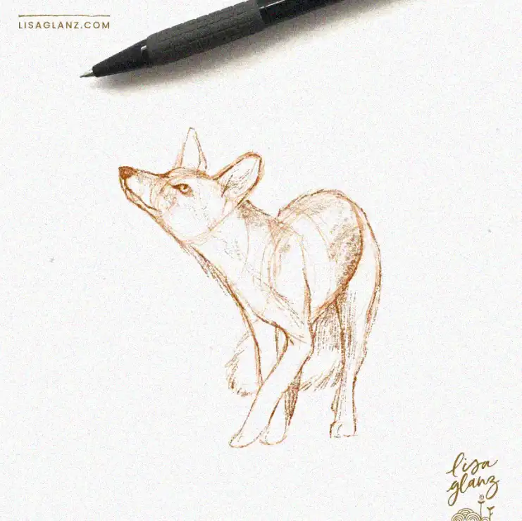 Fawn-Fox Fusion Beside the Artist's Pen