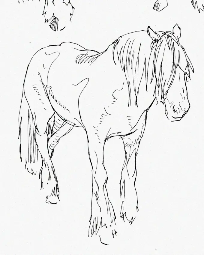 Textured Monochrome Sketch of a Standing Horse