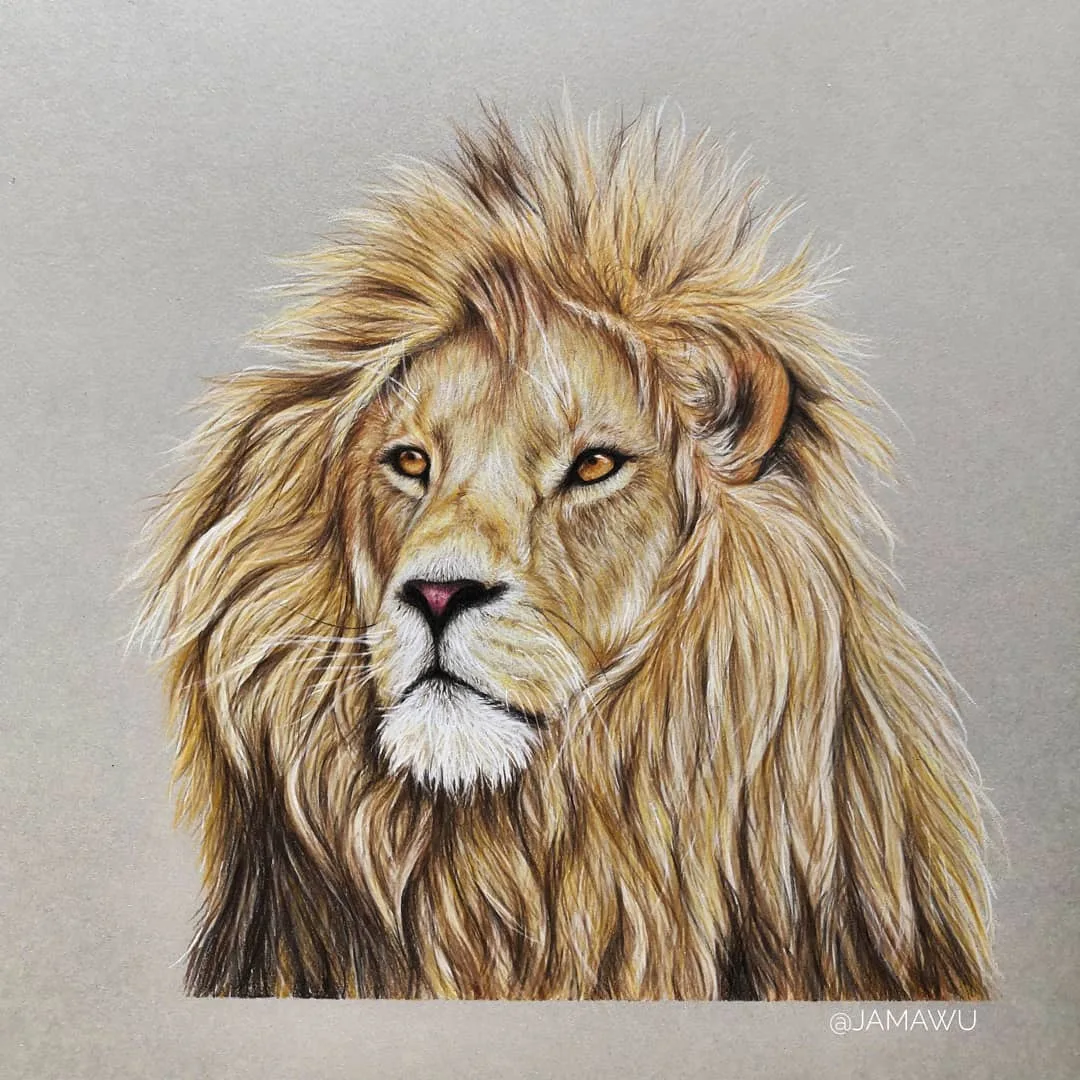 Golden Majesty: The Lion's Piercing Gaze